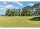 Spacious front yard featuring a well-maintained lawn and mature trees, showcasing the property's ample space at 155 G Herring Rd, Princeton, NC 27569