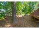 Wooded backyard view with mature trees, offering privacy and a serene atmosphere at 2408 Fordcrest Dr, Apex, NC 27502