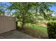Backyard and patio with new sod at 256 Rubrum Dr, Hillsborough, NC 27278