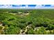 Aerial view of home nestled among lush green trees and landscape at 295 Rudd Rd, Youngsville, NC 27596