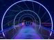 Modern bridge illuminated by vibrant neon lights, creating a visually striking architectural feature at 3034 Winfred Dell Ln, Cary, NC 27511