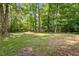 View of a spacious backyard with mature trees and a storage shed on the property at 4119 Toroella St, Durham, NC 27704