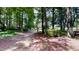 View of home through wooded yard with grassy lawn and tree lined borders at 4509 Stevens Chapel Rd, Smithfield, NC 27577