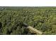 Extensive forest with a road winding through it, showcasing the vast greenery and scenic surroundings at 5900 Ebenezer Church Rd, Raleigh, NC 27612