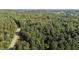 Lush forest landscape with a winding road, emphasizing the expansive greenery and serene natural environment at 5900 Ebenezer Church Rd, Raleigh, NC 27612