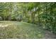 A lush green backyard featuring healthy grass, mature trees and a peaceful, natural setting at 619 E Hatterleigh Ave, Hillsborough, NC 27278