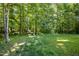 Tranquil backyard oasis with verdant lawn, towering trees, and a sense of natural serenity at 619 E Hatterleigh Ave, Hillsborough, NC 27278