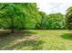 Large, well-maintained backyard with lush green lawn and mature trees, ideal for outdoor activities at 8536 Wolverton Fields Dr, Wake Forest, NC 27587