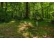Wooded backyard with nature features and natural landscaping at 106 Redbud, Pittsboro, NC 27312