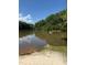 Idyllic lake view with a sandy beach and a distant dock surrounded by lush green trees at 106 Redbud, Pittsboro, NC 27312