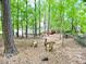 Lush backyard with mature trees, outdoor seating area, fire pit, and view of the house and deck at 109 Elmview Dr, Cary, NC 27519