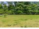 Expansive grassy backyard with chain link fence surrounded by large, mature trees at 1709 Whitfield Ave, Rocky Mount, NC 27801