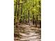 Tranquil walking path winds through a vibrant forest, perfect for leisurely strolls and nature lovers at 253 Hank Way, Angier, NC 27501