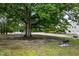 Park area featuring a large tree, benches, and a swing, offering a relaxing outdoor space at 2855 Wilkes Lake Dr, Fuquay Varina, NC 27526