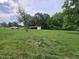 Large backyard with an open shed, mature trees, and green grass at 3669 W Greensboro Chapel Hill Rd, Liberty, NC 27298