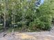 Wooded area of property with mature trees and sandy soil at 3824 Coach Lantern Ave, Wake Forest, NC 27587