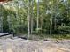 Backyard of new construction home with lush landscaping at 3828 Coach Lantern Ave, Wake Forest, NC 27587