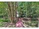 A backyard view showcasing a small wooden bridge over a creek, nestled in a wooded setting at 5121 Ten Point Trl, Wake Forest, NC 27587