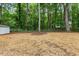 Spacious backyard with storage shed, mature trees, and perimeter fence at 702 Sanderson Dr, Durham, NC 27704