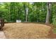 The backyard features a small shed and is surrounded by mature trees at 702 Sanderson Dr, Durham, NC 27704