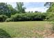 Large backyard with a mature tree line along the back of the property at 1003 E Sterlington Pl, Apex, NC 27502