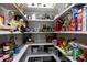 Walk-in pantry filled with shelves of food at 1003 E Sterlington Pl, Apex, NC 27502