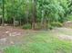 Tranquil backyard featuring a wooden swing and firepit, perfect for relaxing at 1010 Starita Ct, Apex, NC 27502