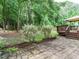 Beautiful backyard featuring a patio, deck, and lush landscaping perfect for outdoor entertaining at 1010 Starita Ct, Apex, NC 27502