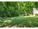 Well-maintained backyard with lush lawn and mature trees, offering a private and peaceful outdoor space at 1015 Manchester Dr, Cary, NC 27511