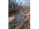 Serene creek surrounded by trees, offering a tranquil and natural setting at 12088 Burlington Rd, Hurdle Mills, NC 27541