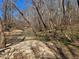 A sandy area beside a tranquil creek surrounded by trees and greenery at 12088 Burlington Rd, Hurdle Mills, NC 27541