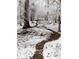 Snowy woodland trail in winter, showcasing a serene path through the frost-covered trees at 12088 Burlington Rd, Hurdle Mills, NC 27541