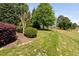 Lush backyard featuring a mix of mature trees, shrubs, and a glimpse of a distant wooden fence at 154 Sicily Dr, Clayton, NC 27527