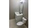 Bathroom features a white vanity, toilet, modern lighting and neutral walls at 1676 Richardson Bass Rd, Kenly, NC 27542