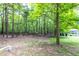 The backyard is heavily wooded with lots of trees and foliage, providing a private feel at 3137 Falling Cedars Dr, Chapel Hill, NC 27516