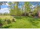 Expansive backyard featuring lush greenery, mature trees, and a well-maintained lawn at 801 Pinehurst Dr, Chapel Hill, NC 27517
