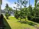 A spacious yard with a line of evergreen trees is a key feature of this home's exterior at 111 Chapel Run Way, Chapel Hill, NC 27517