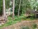 View of the lush backyard featuring mature trees, path, and the structure of a deck in a serene, wooded setting at 1509 Elkpark Dr, Raleigh, NC 27610