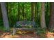 Metal bench surrounded by pine trees and a carpet of pine straw in a tranquil backyard setting at 1511 Hatch Rd, Chapel Hill, NC 27516