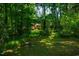 Mature trees surround the lush backyard with home view; a tranquil hideaway at 1511 Hatch Rd, Chapel Hill, NC 27516