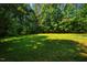 Wide-open backyard area surrounded by tall trees offering lots of privacy at 1511 Hatch Rd, Chapel Hill, NC 27516
