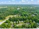 Panoramic aerial view of homes nestled among lush green trees, creating a serene residential landscape at 21 Cedar Hill Dr, Durham, NC 27713