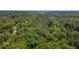 Expansive aerial view of lush, green tree canopy with city skyline in the background at 24 Sunrise Pl, Durham, NC 27705