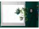 Charming bedroom detail with hanging plants and a bright window at 2805 Fayetteville St, Durham, NC 27707