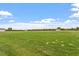 Expansive backyard with lush green grass, bordered by a line of trees and a wooden fence at 337 Brinkley Cir, Mebane, NC 27302