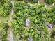 Aerial view of a home nestled among lush greenery, showcasing its private setting at 7801 Wood Way Ct, Raleigh, NC 27606