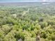 Wide aerial view of a home nestled among lush greenery, showcasing its private setting and neighborhood at 7801 Wood Way Ct, Raleigh, NC 27606