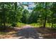 Paved pathway leading through a forest, creating a private and serene environment at 101 Eden Glen Dr, Holly Springs, NC 27540