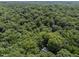 Aerial view of lush greenery covering a large acreage with a single home in view at 11425 Horsemans Trl, Raleigh, NC 27613