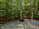 Outdoor patio with stone flooring, a fire pit, and surrounded by a lush green forest at 11425 Horsemans Trl, Raleigh, NC 27613